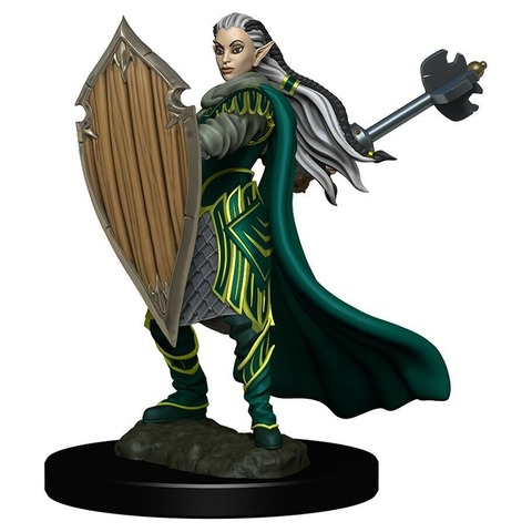 Elf Paladin Painted
